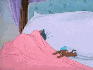 猫空中转体的动力学,猫空中转身的力学原理