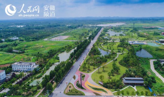 官亭林海：“江淮脊背”上的生态绿地