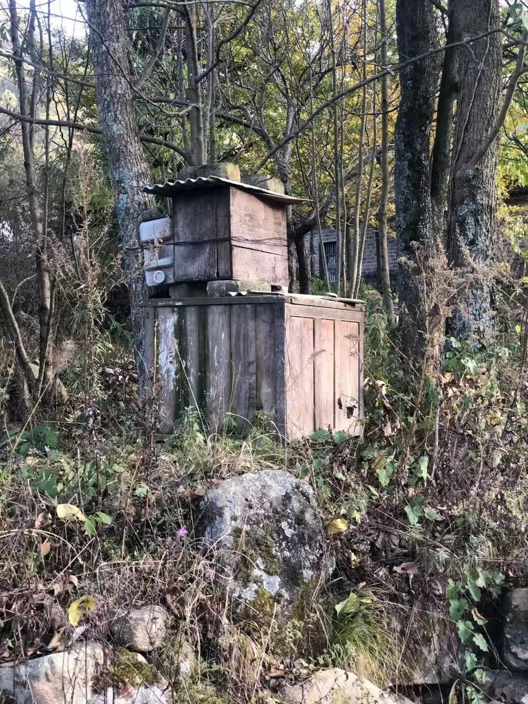 汤常荣:大别山里的“第一书记”