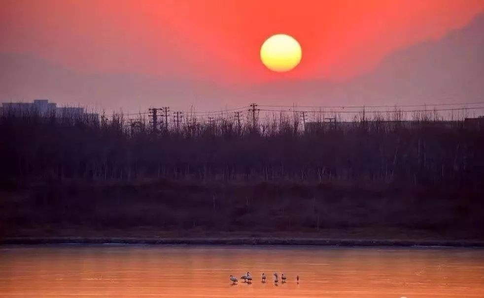 鹤壁是全国文明城市么,鹤壁是哪个省的城市