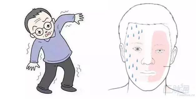 生命中枢之延髓,生命中枢是指哪个部位