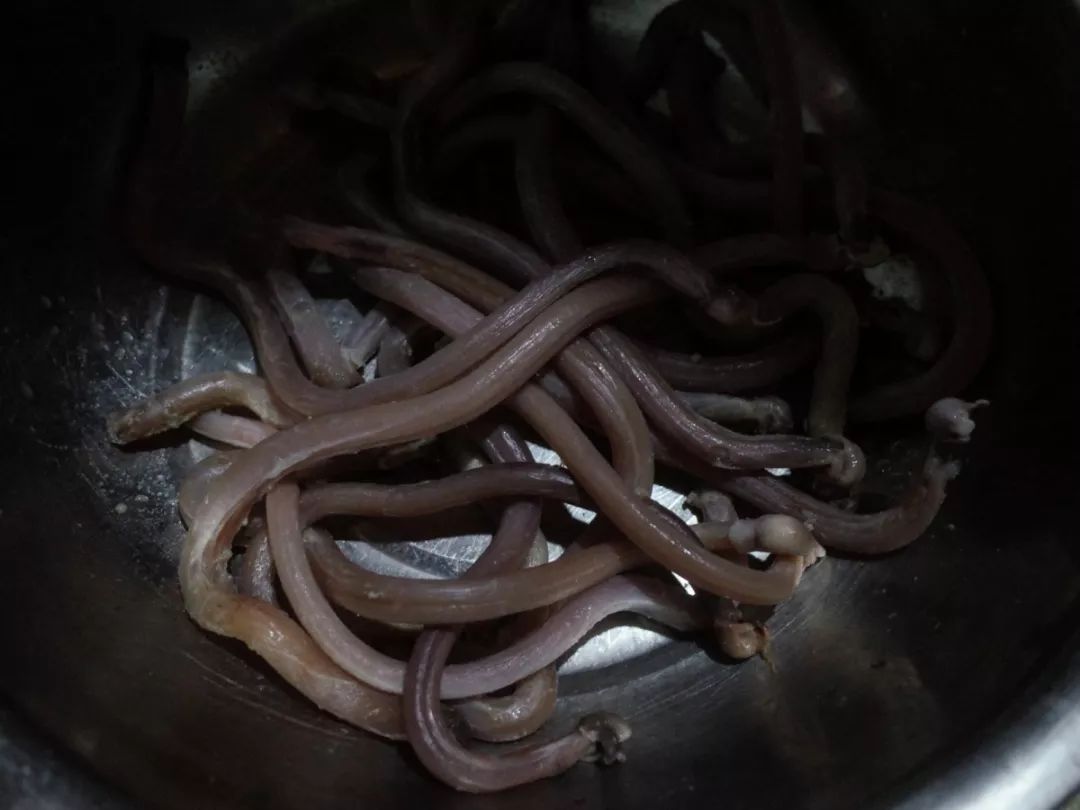 口味太重！开车1个小时！老桐乡吃货推荐：羊枪羊炮羊眼全安排上了……