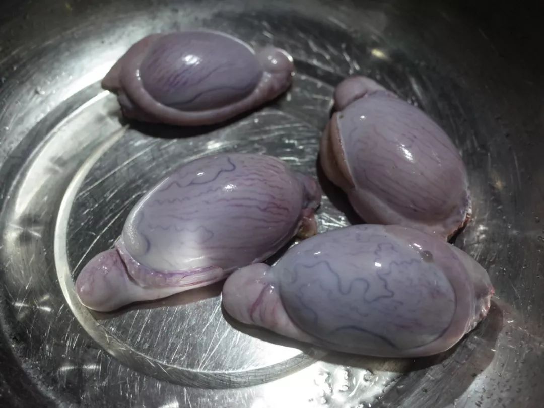 口味太重!开车1个小时!老桐乡吃货推荐:羊枪羊炮羊眼全安排上了……