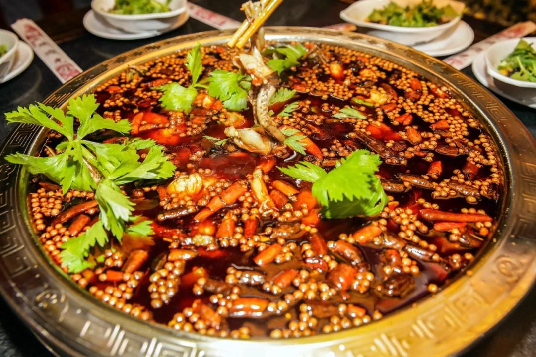 比亚迪速锐发动机噪音大怎么回事,买比亚迪速锐十大忠告