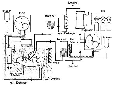 离开女人的子宫，科学家们怎么neng出一个孩子？