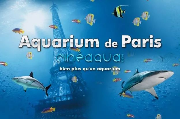 旅游不需要刻意的做计划,最省时省力省钱的旅游方法来了