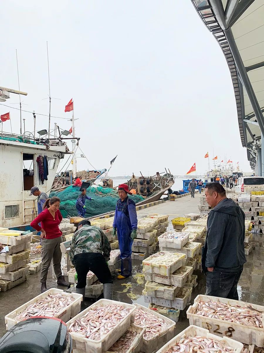 吕四海鲜原产地,吕四吃海鲜推荐