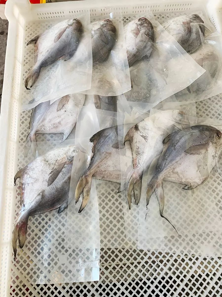 吕四海鲜原产地,吕四吃海鲜推荐