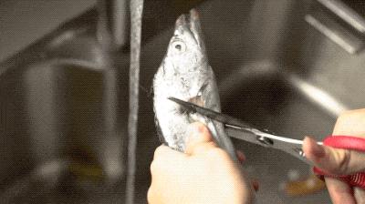 吕四海鲜原产地,吕四吃海鲜推荐