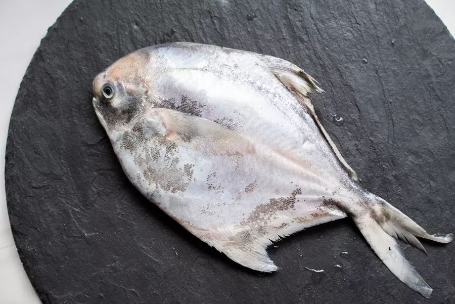 吕四海鲜原产地,吕四吃海鲜推荐