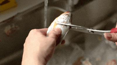 吕四海鲜原产地,吕四吃海鲜推荐