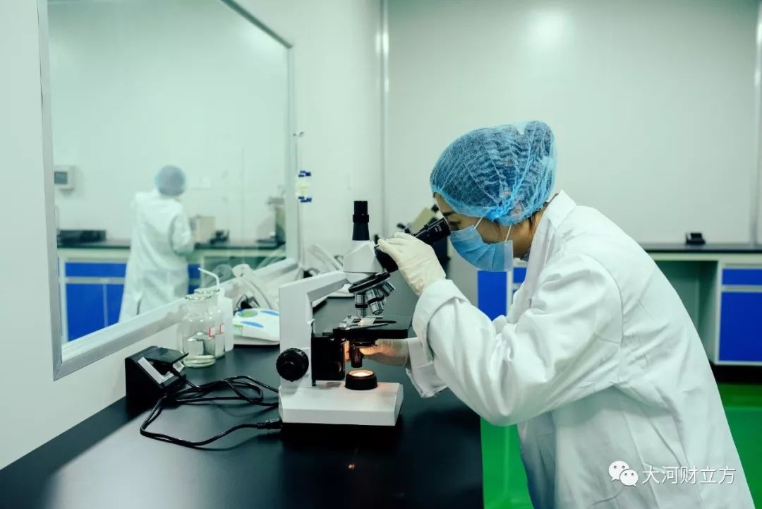 郑新一体化龙凤大道,郑新深度融合发展规划