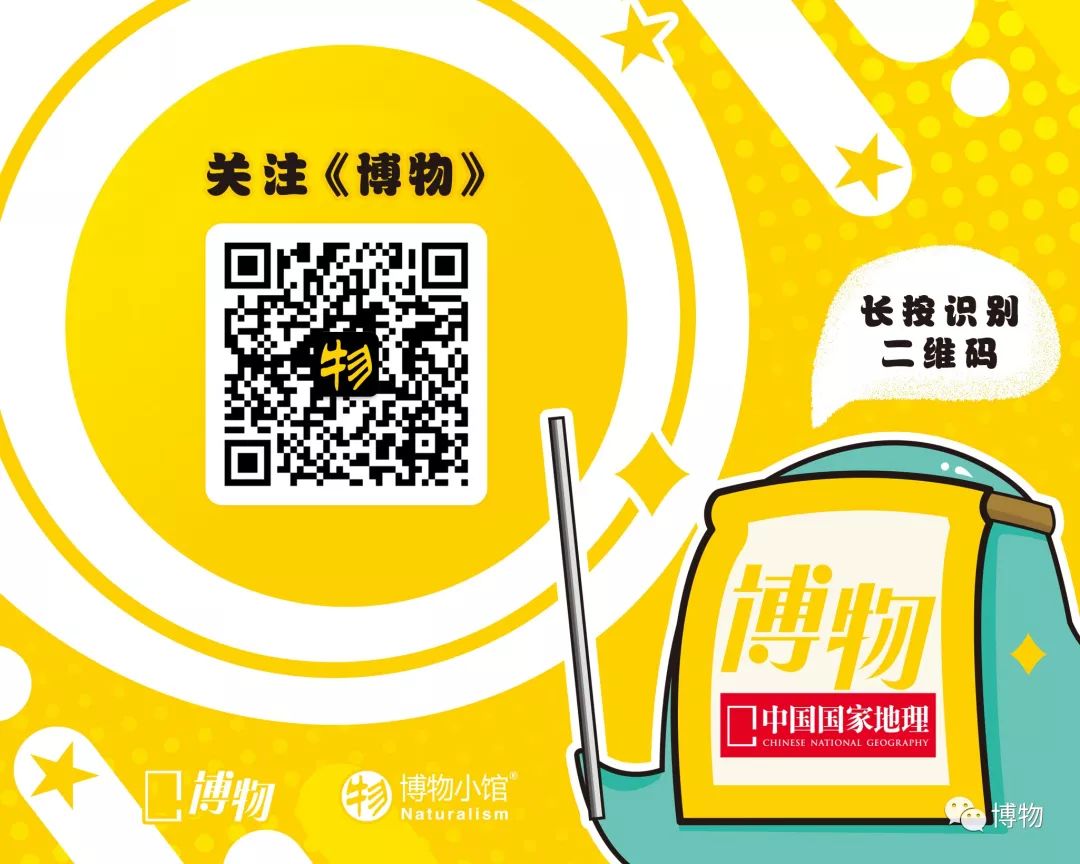 必读优秀微信公众号,值得推荐的十个微信公众号