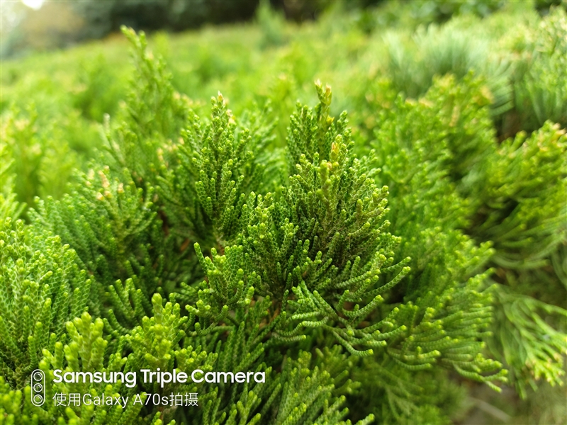 中端机还能如此漂亮三星GalaxyA70s评测:最轻薄的6400万三摄之作