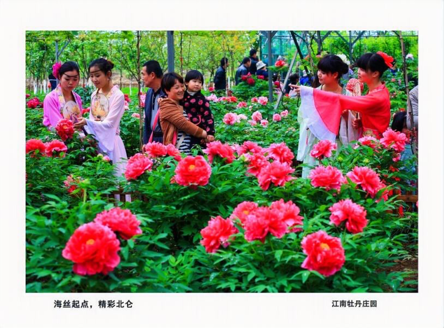 山、海、沙、港……这里有着离上海最近的海滩,它的名字叫北仑