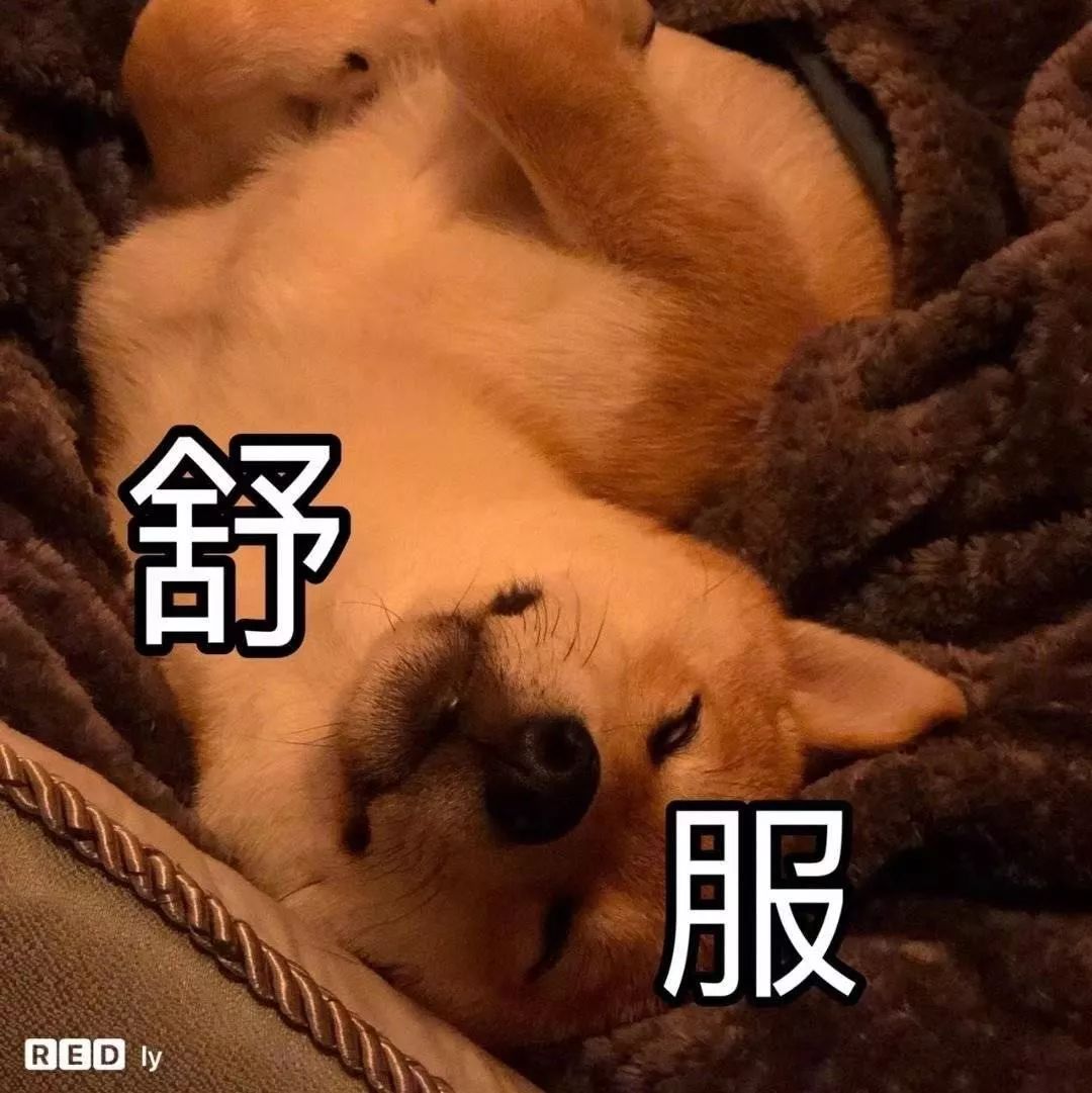 自从用了它,我抛弃了祖传的微信截图