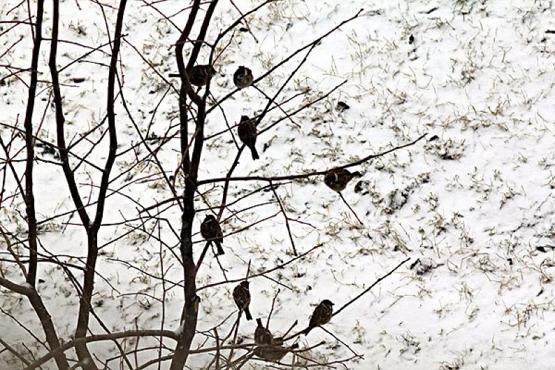 随笔无奈的感悟,随笔内心的困惑