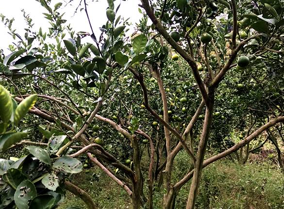 福州周边适合一日游的绝佳去处,福州烟台山一日游最佳路线图