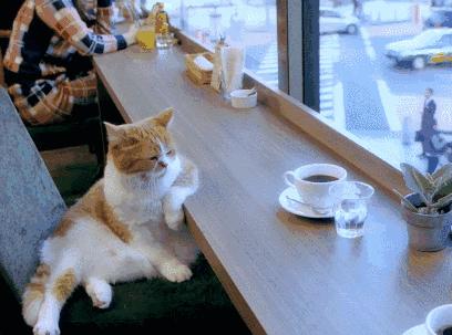 所有能用钱买了的快乐就不要犹豫,能用钱买到的快乐就不要犹豫了