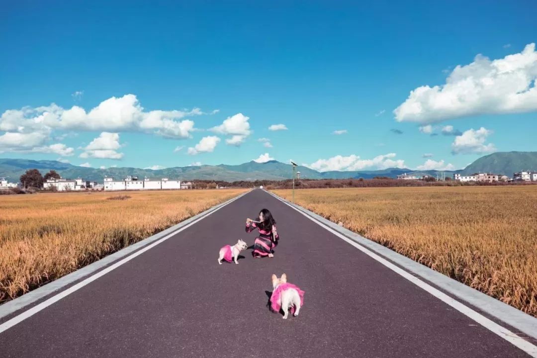 LOOK|「听」4种旅行·LOOKFM