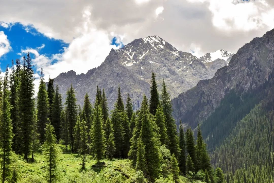 中国宝石排名,中国宝石宝藏大全