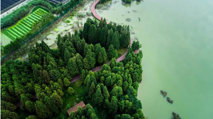 城西有位少侠，会六脉神剑凌波微步，还多情浪漫，他叫青山湖科技城