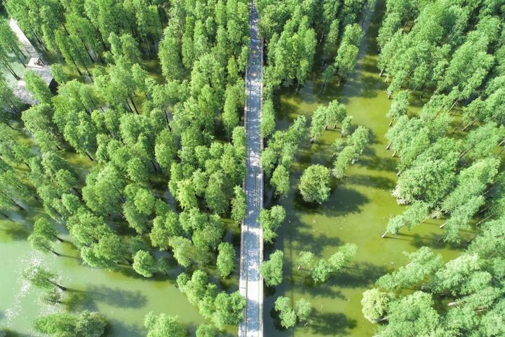 城西有位少侠，会六脉神剑凌波微步，还多情浪漫，他叫青山湖科技城