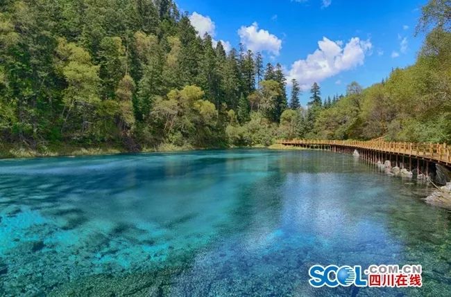 九寨沟开放官网,九寨沟门票10点到14点入园