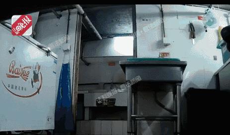 深圳罗湖灭鼠,除虫灭鼠深圳