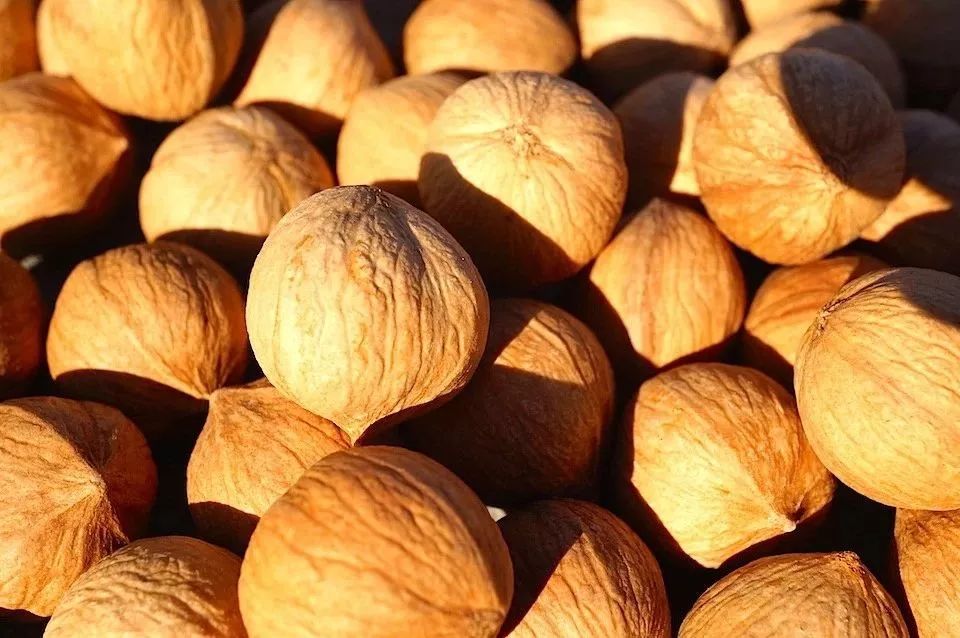 广东人连买6罐，杭州人连买12罐的杭州特产|饱记上新