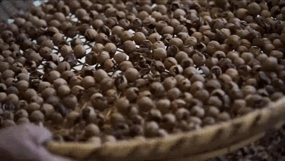 广东人连买6罐，杭州人连买12罐的杭州特产|饱记上新