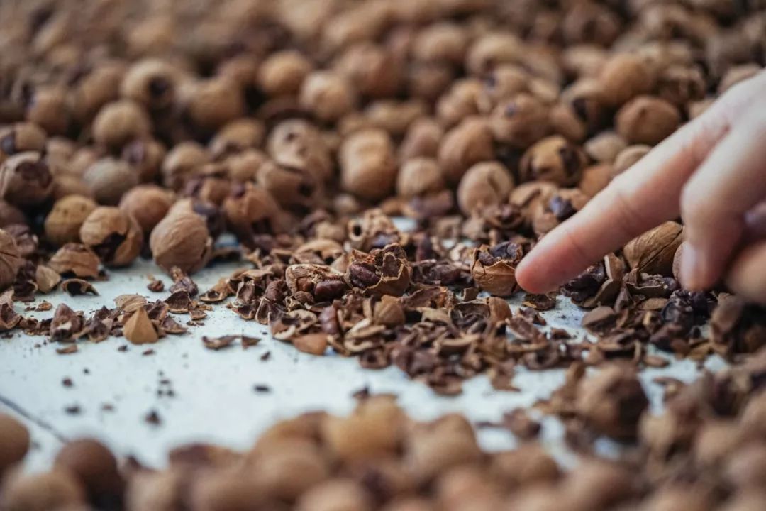 广东人连买6罐，杭州人连买12罐的杭州特产|饱记上新