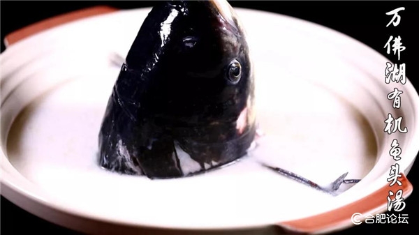 安徽味道栏目组,安徽广播电视台美食栏目组