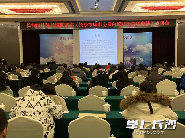 家中发现白蚁怎么办？请打这个电话：84371317