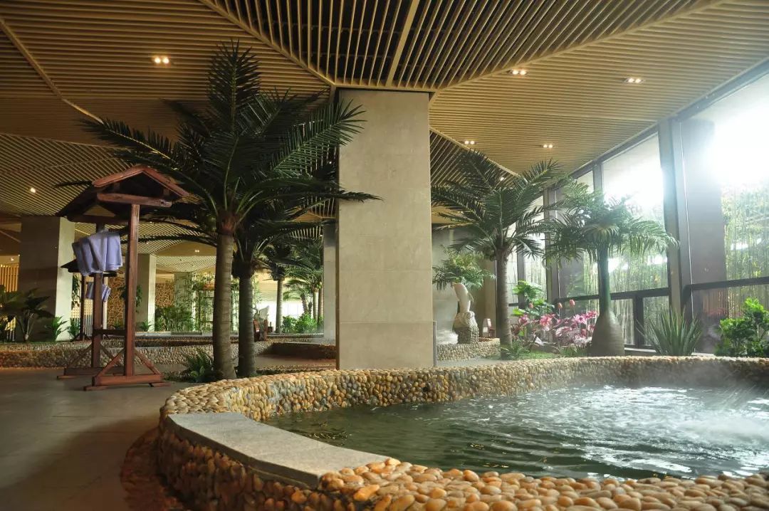 “泰”舒服了!听说,和冬天更配的“宜游之城”就在这儿!温泉水暖、古镇飘香…是时候来场冬季泰州行啦