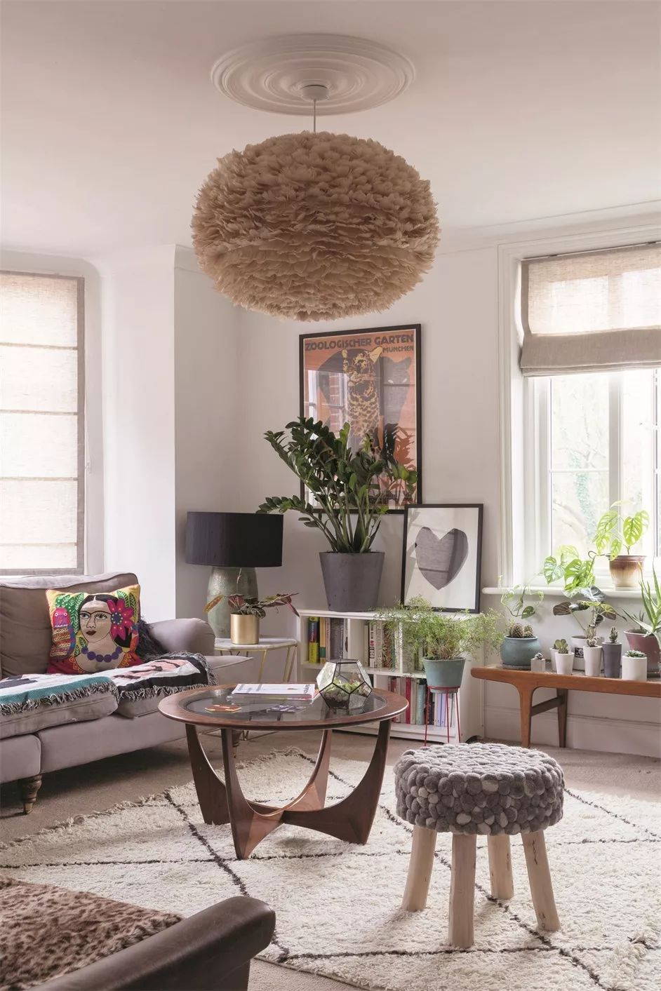 植物杀手们有救了，药到病除！|文末福利