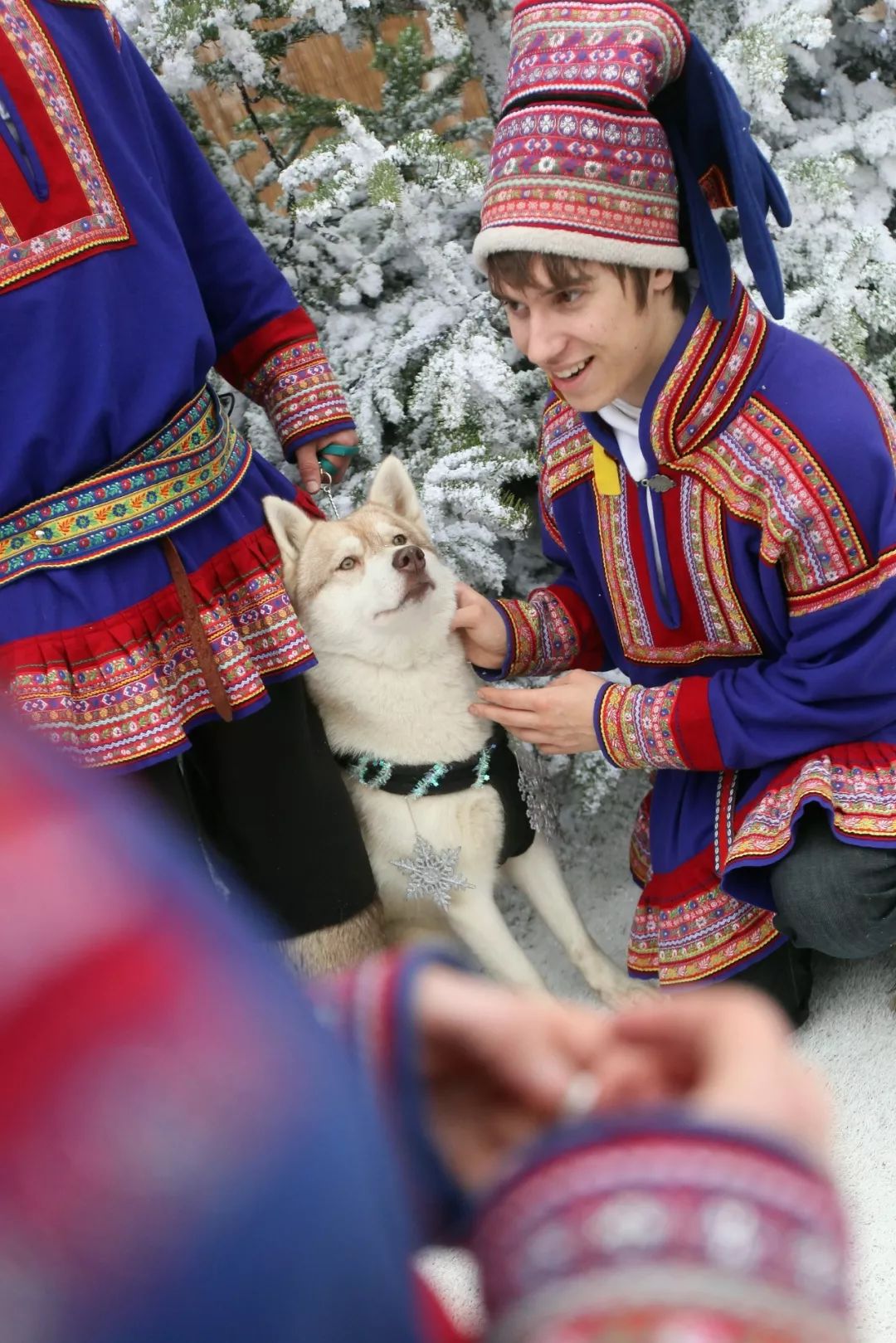 冰雪奇缘是英文电影吗,冰雪奇缘简介视频