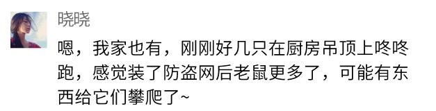 深圳罗湖灭鼠,除虫灭鼠深圳