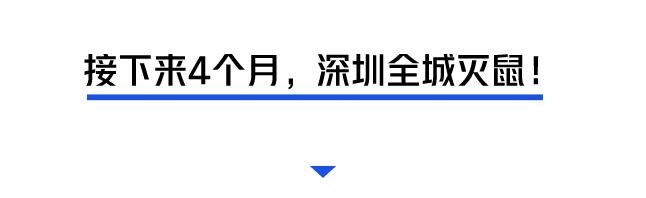 深圳罗湖灭鼠,除虫灭鼠深圳