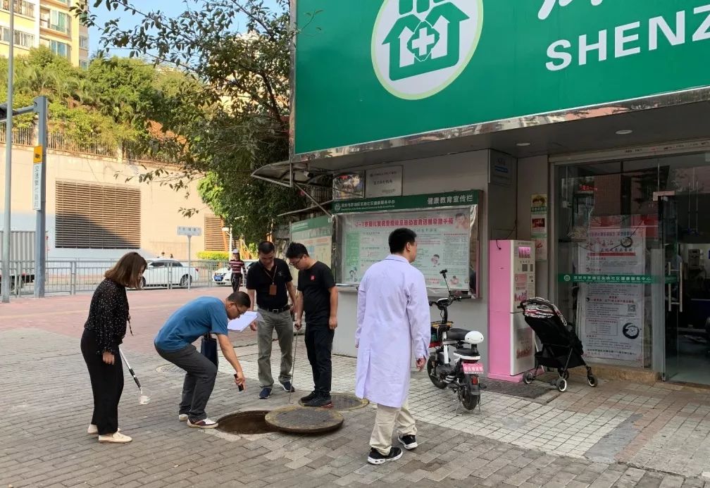 深圳罗湖灭鼠,除虫灭鼠深圳