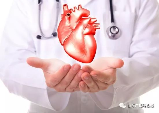 中医养生调理心血管病,健康养生菏泽