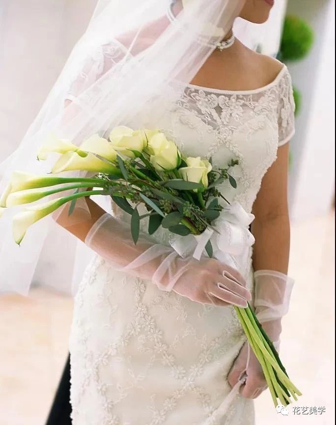 马蹄莲最普通品种开什么颜色花,花卉马蹄莲是什么样的