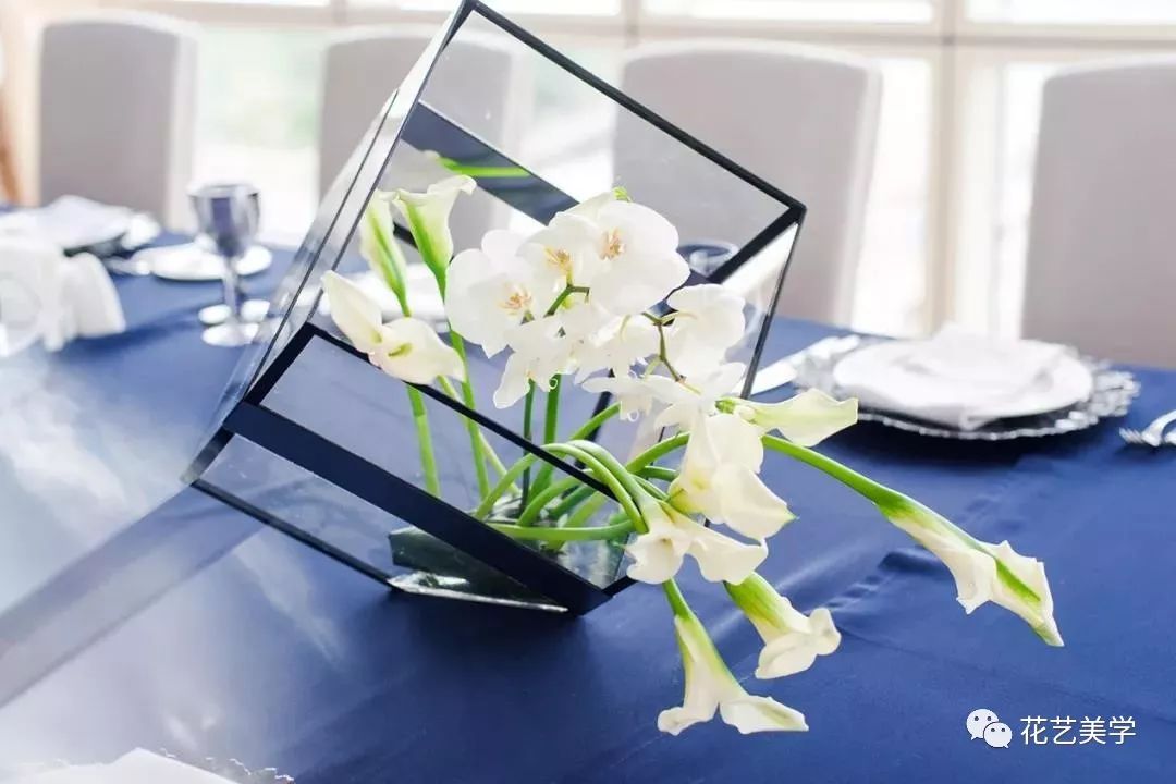 马蹄莲最普通品种开什么颜色花,花卉马蹄莲是什么样的