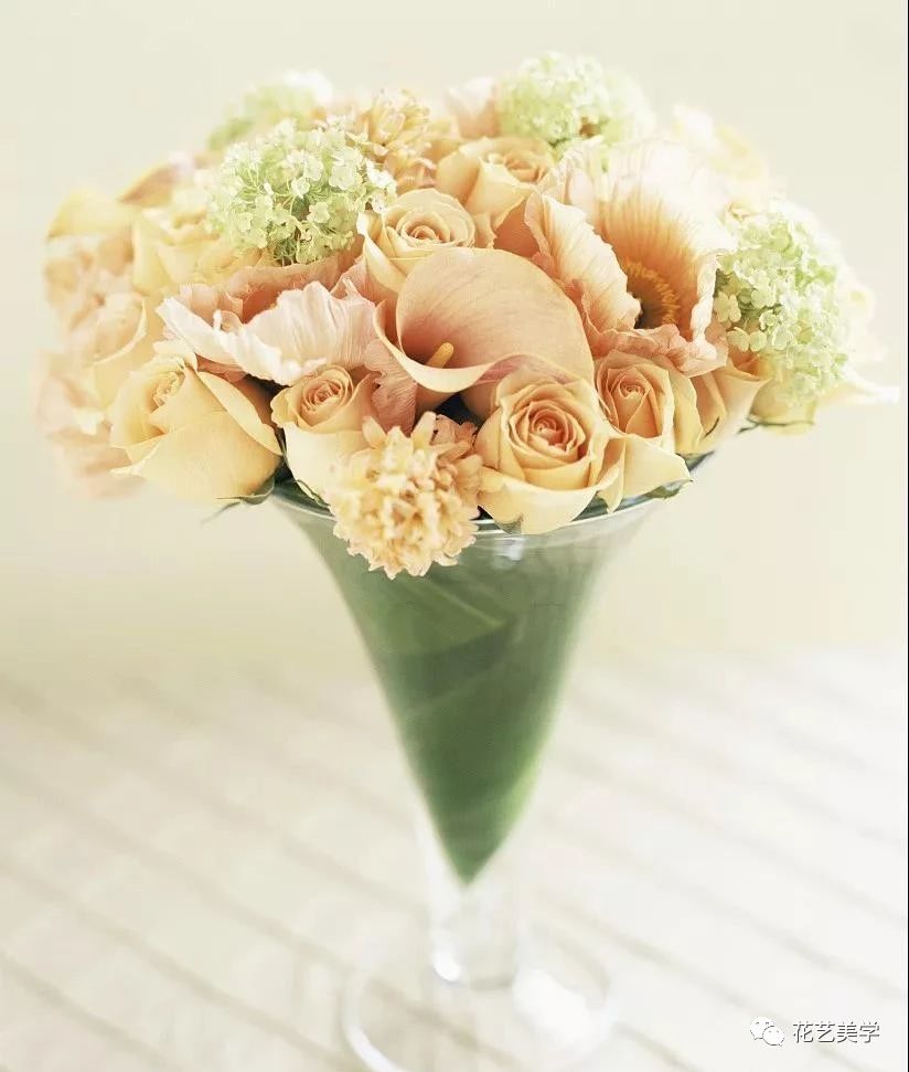 马蹄莲最普通品种开什么颜色花,花卉马蹄莲是什么样的