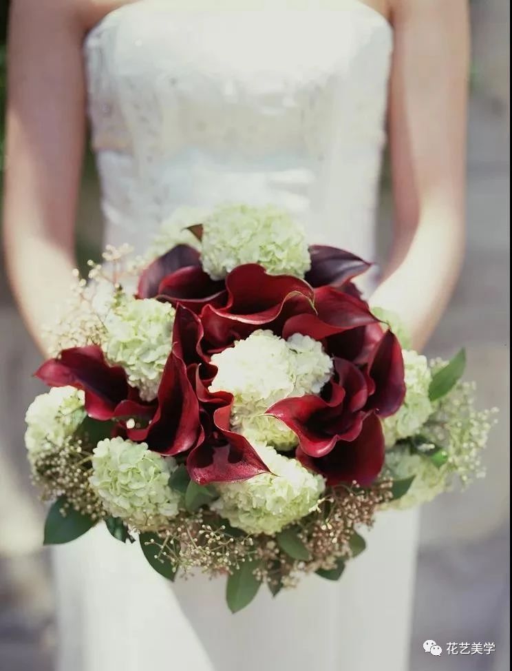 马蹄莲最普通品种开什么颜色花,花卉马蹄莲是什么样的