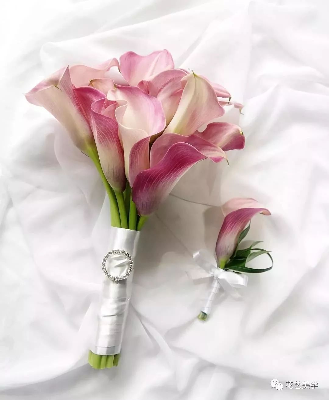 马蹄莲最普通品种开什么颜色花,花卉马蹄莲是什么样的