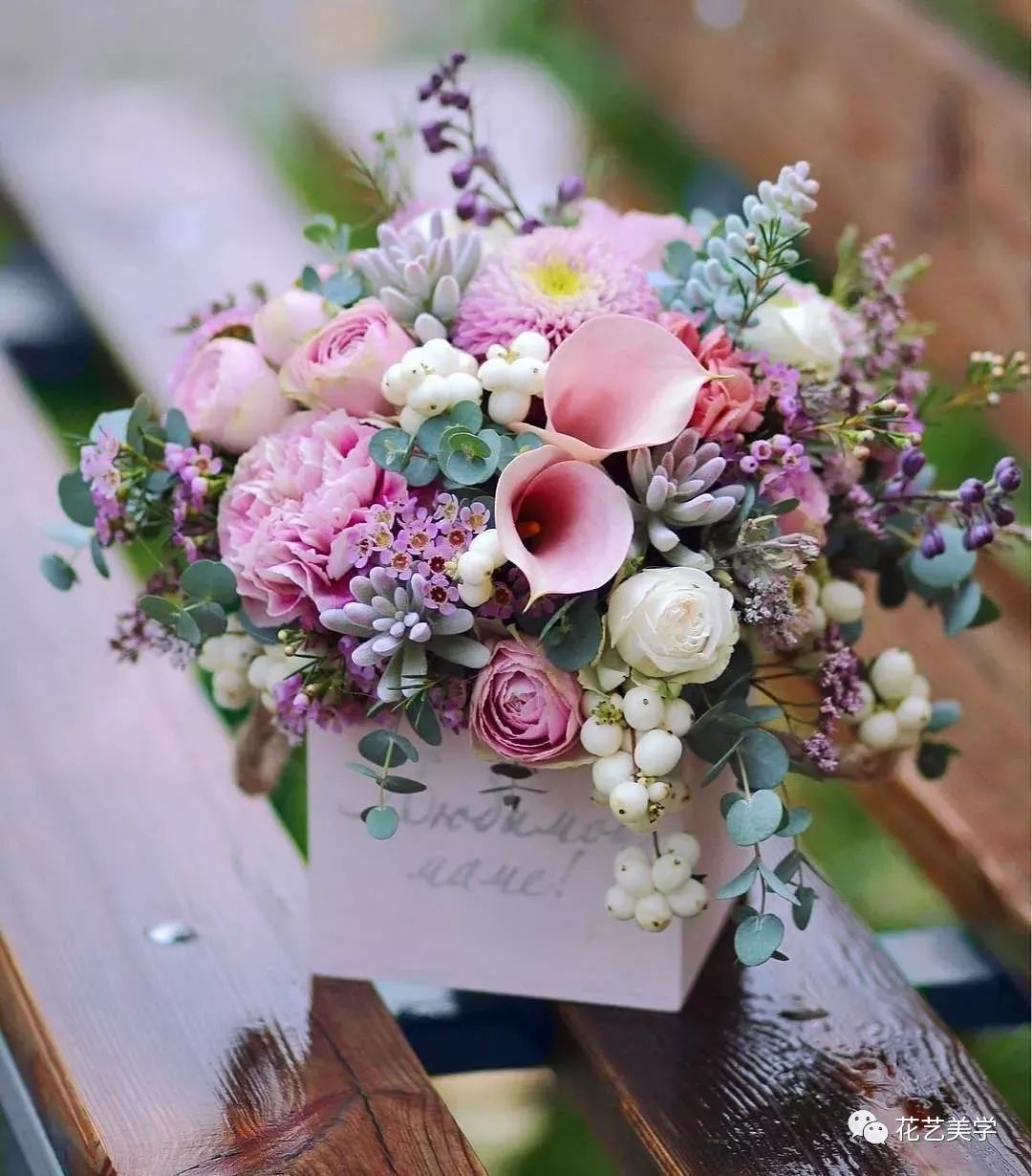 马蹄莲最普通品种开什么颜色花,花卉马蹄莲是什么样的