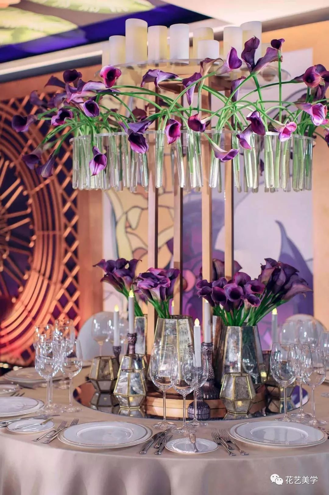 马蹄莲最普通品种开什么颜色花,花卉马蹄莲是什么样的