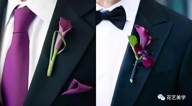 马蹄莲最普通品种开什么颜色花,花卉马蹄莲是什么样的