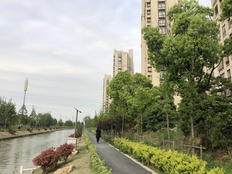 最美步道评选,黄浦最美健身步道